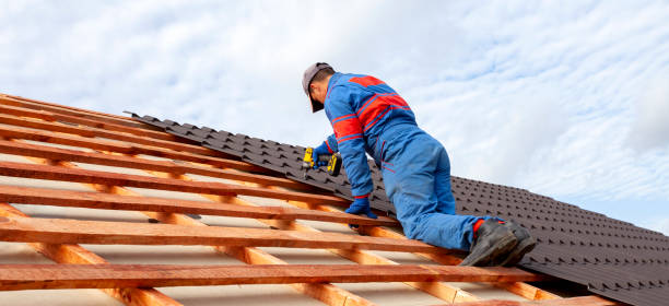 Best Roof Leak Repair  in Cane Savannah, SC